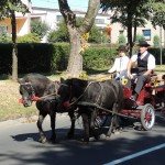 dozynki-pajeczno-2013-22