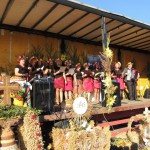 dozynki-pajeczno-2013-61