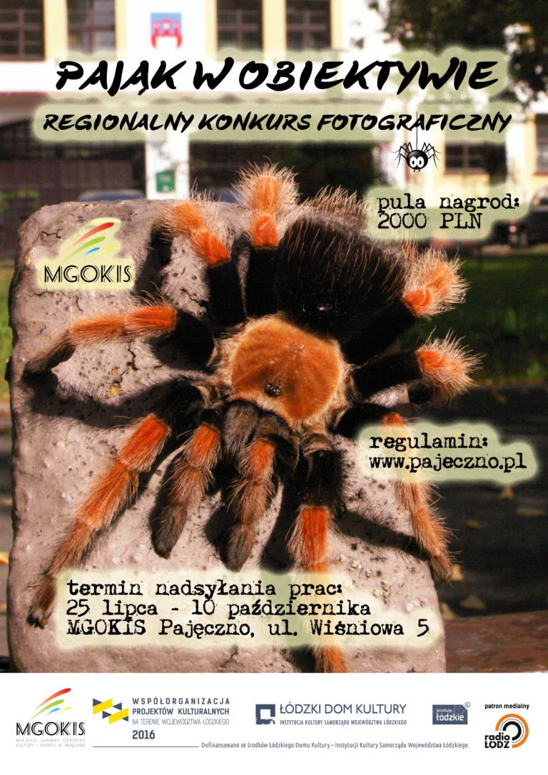 Konkurs fotograficzny „Pająk w obiektywie”. Pula nagród – 2000zł