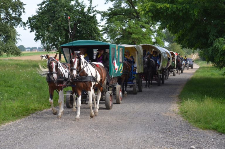 Ogólnopolska Gwieździsta Pielgrzymka Konna