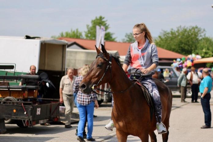 targi-konskie-pajeczno-2018_24