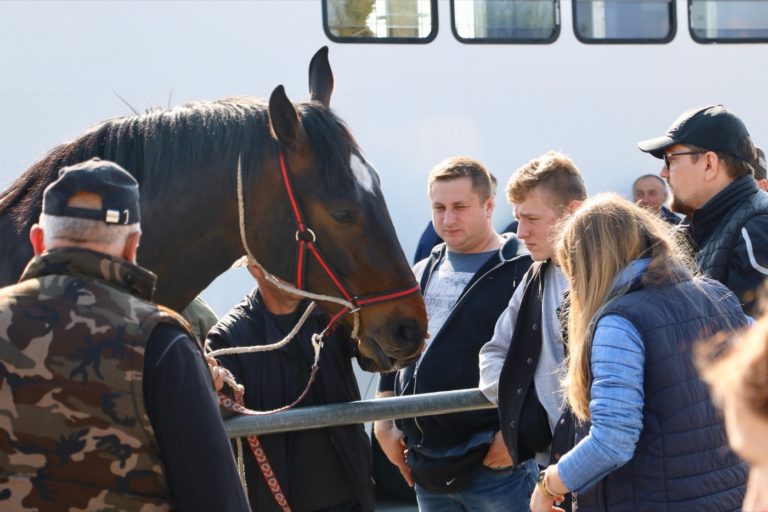 Ogólnopolskie Targi Końskie w Pajęcznie odbędą się jesienią