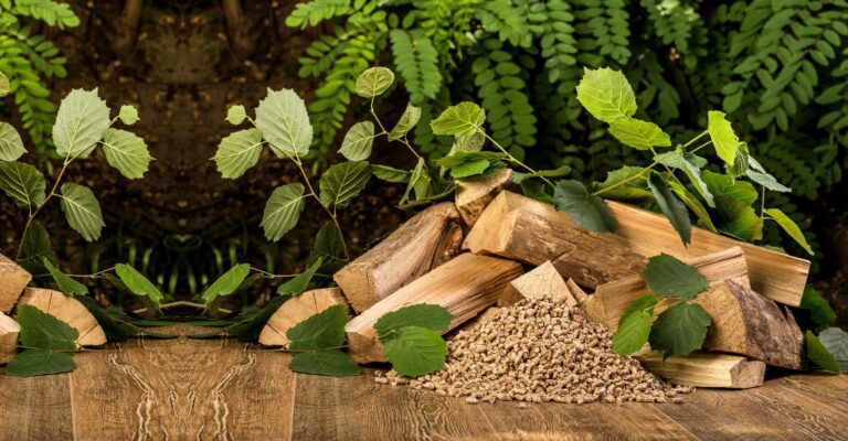 Pellet drzewny – co to jest i jak się go produkuje?