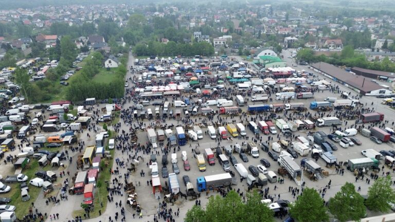 Targi końskie w Pajęcznie. Jedni bronią, inni żądają zmian