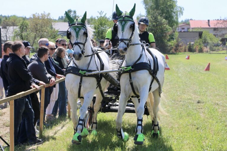 Pierwsze Amatorskie Zawody Zaprzęgowe w Pajęcznie [ZDJĘCIA]